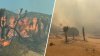 Rapidly spreading brush fire prompts evacuation orders in northern LA County