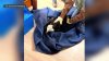 Big Bear bald eagle Jackie is in critical condition, wildlife rehab says