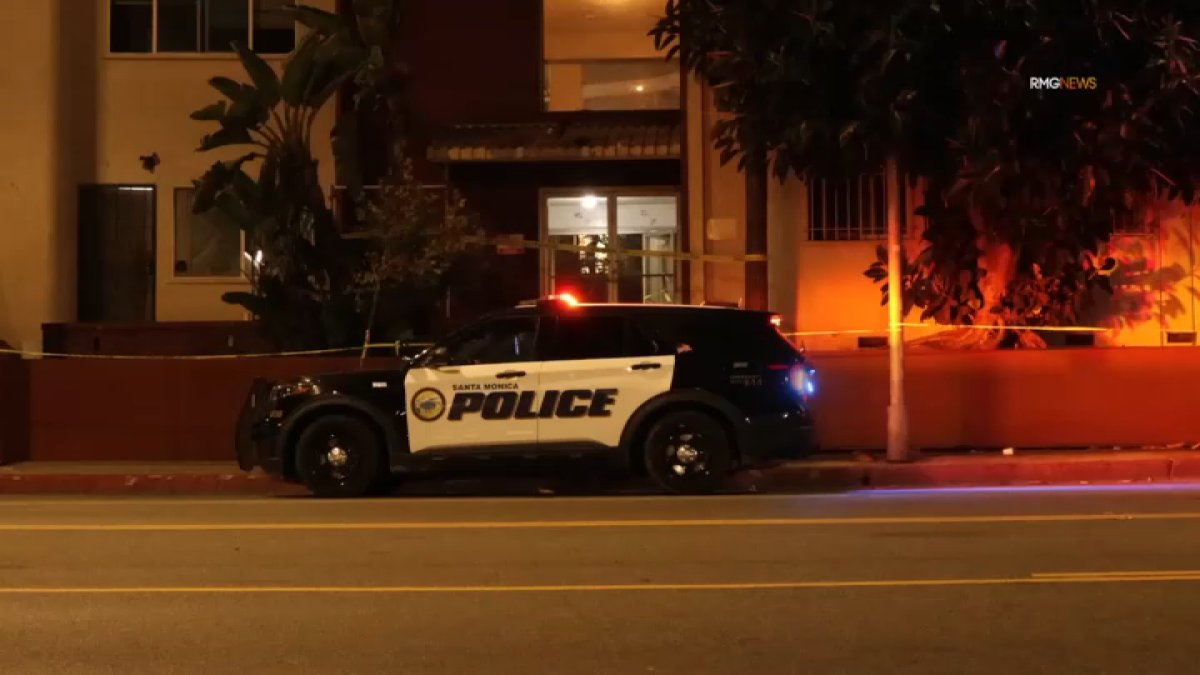 Assault News Image