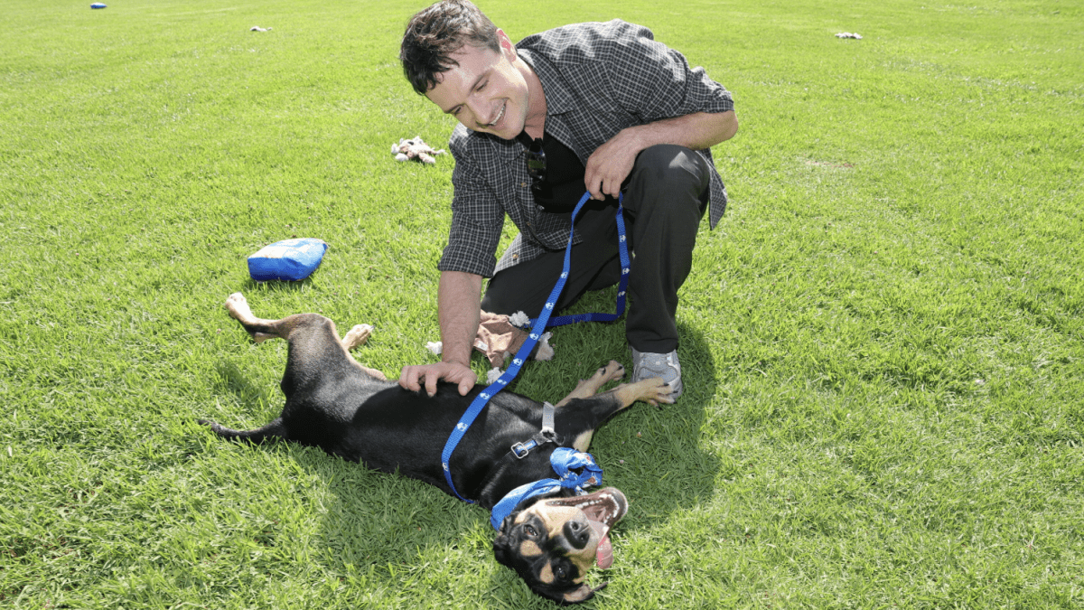 Actor Josh Hutcherson visits Long Beach animal shelter to promote adoptions