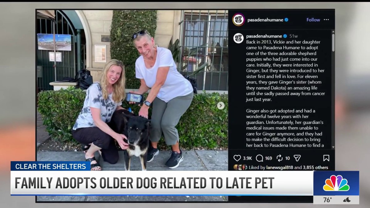 Family adopts senior dog related to their late pet