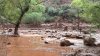 At least 15 missing at Grand Canyon after extreme flash flooding