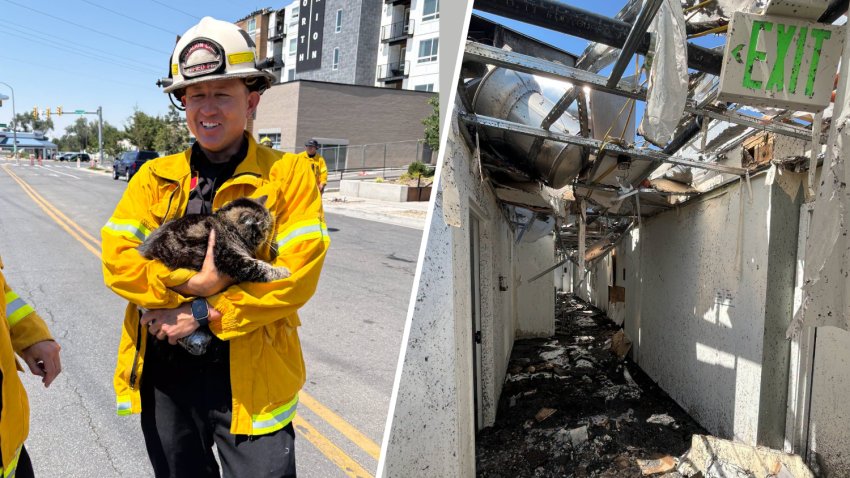 A firefighter holds Toast after the cat was found hiding for days inside a closet after a fire in Salt Lake City, Utah.