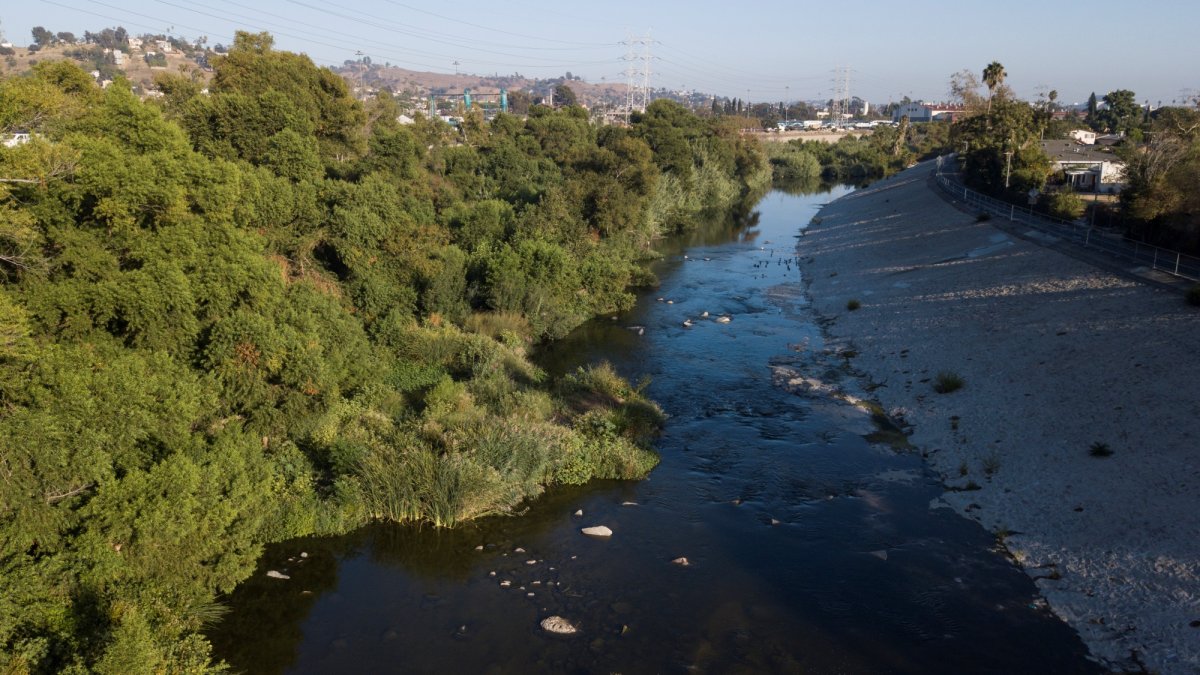 Free, festive, and brimming with beauty: Celebrate the LA River at ‘RiverFest'