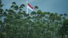 Magnitude 7.7 quake hits off coast of Indonesia, USGS says