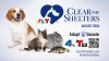 NBC4 and Telemundo 52 annual pet adoption & donation campaign, ‘Clear The Shelters' returns