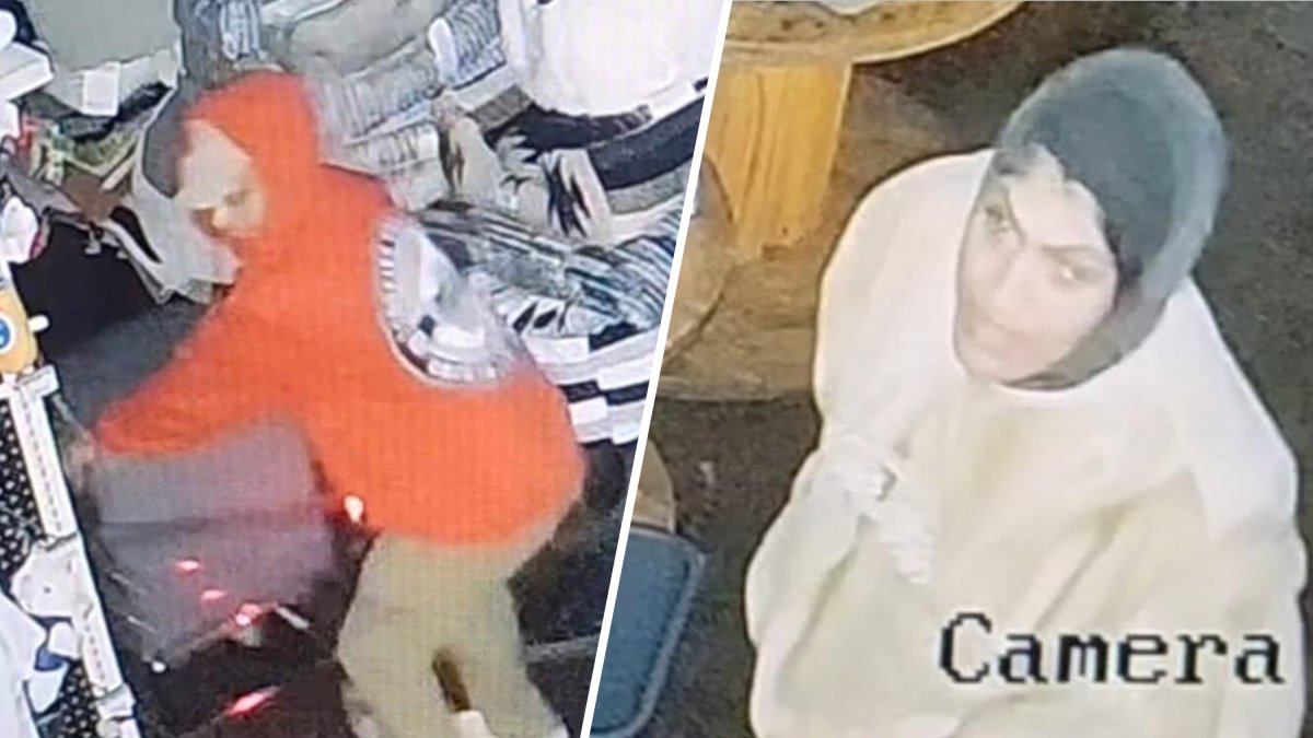 Fairfax pet store hit by two burglaries in less than a week