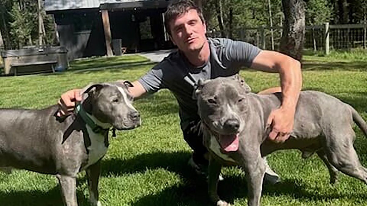Josh Hutcherson advocates for shelter pet adoptions: ‘A cause that's close to my...