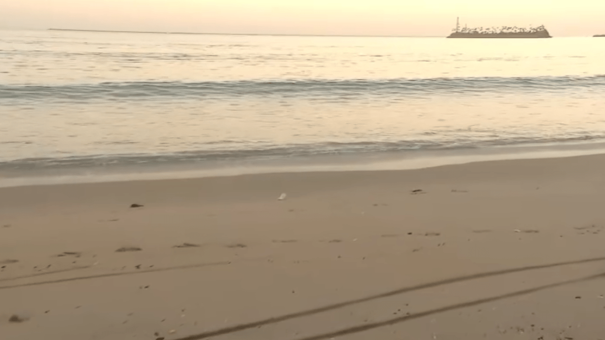 Southern California coast prepares for high tides. What to know