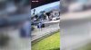 Video appears to show mail carrier attacking peacock in Pasadena