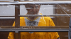 Murder charges dismissed against ex-LA businessman accused in murders-for-hire