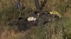 4 killed in rollover crash on mountain road near Wrightwood