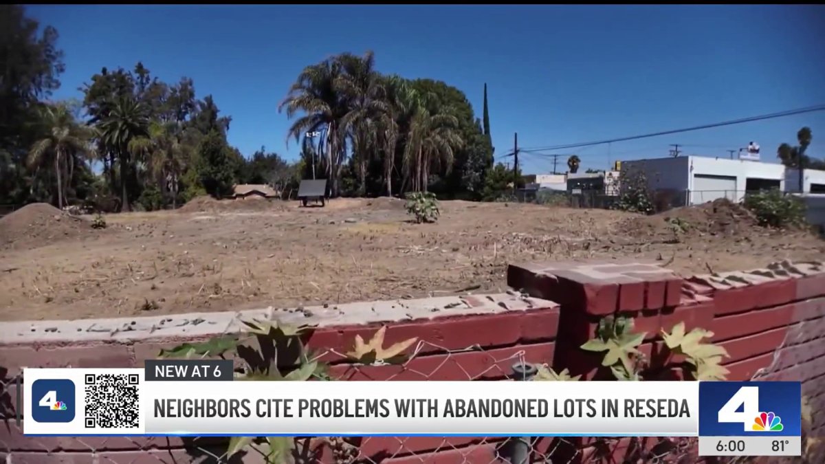 Neighbors cite problems with abandoned lots in Reseda