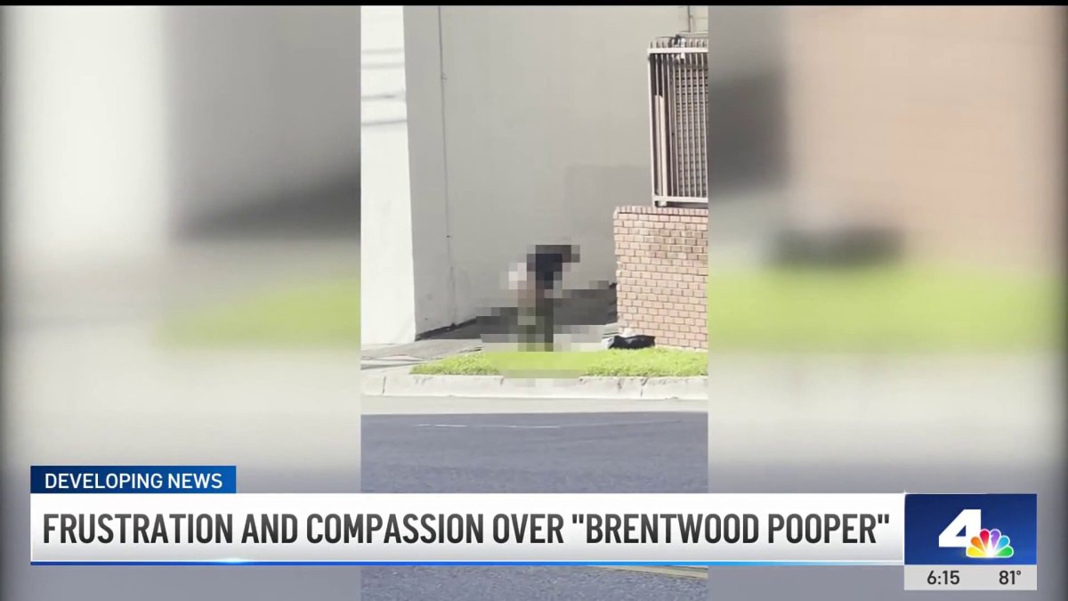 'Brentwood pooper': Residents call for action amid ongoing public nuisance