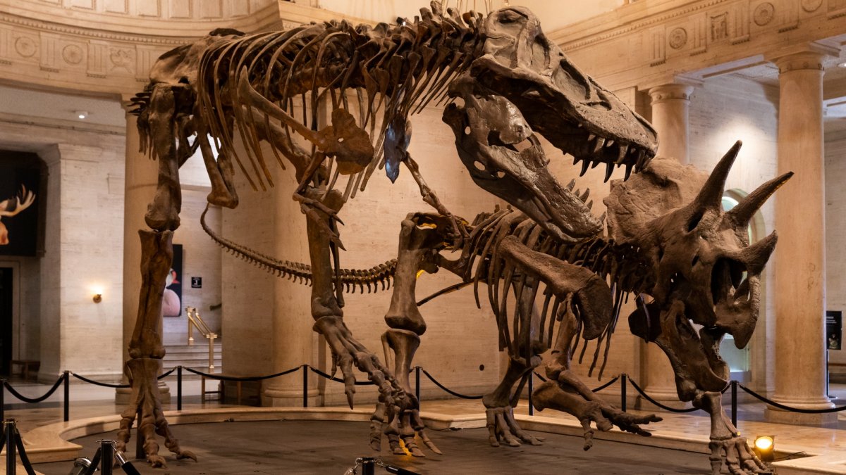 Lucas Museum visitors: Enjoy a neighborly discount at the Natural History Museum