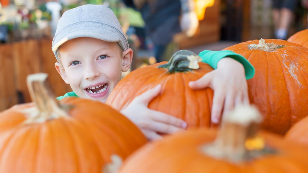 Family fun times with fall flair are popping up in OC; some are free ...