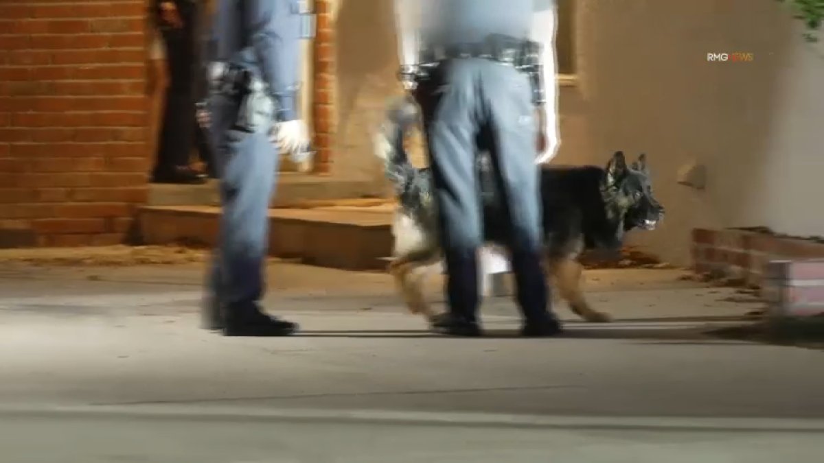 Dog pepper-sprayed during Lake Balboa home break-in, police say