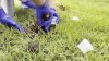 Soil and water tests underway in Ladera Ranch due to cancer concerns