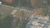 Traffic safety organization paints unpermitted crosswalk in Hollywood