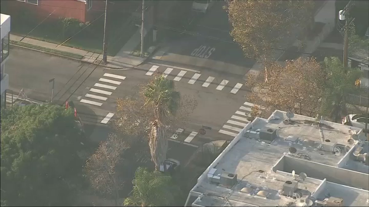 Traffic safety organization paints unpermitted crosswalk in Hollywood