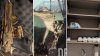 Fentanyl, firearms and alligator seized from luxury downtown LA apartment