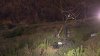 4 killed in crash on mountain road near Wrightwood