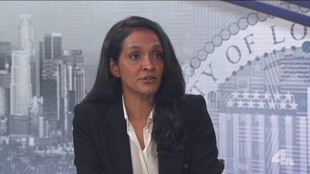 NewsConference: Raman discusses her place in Democratic Socialists of America