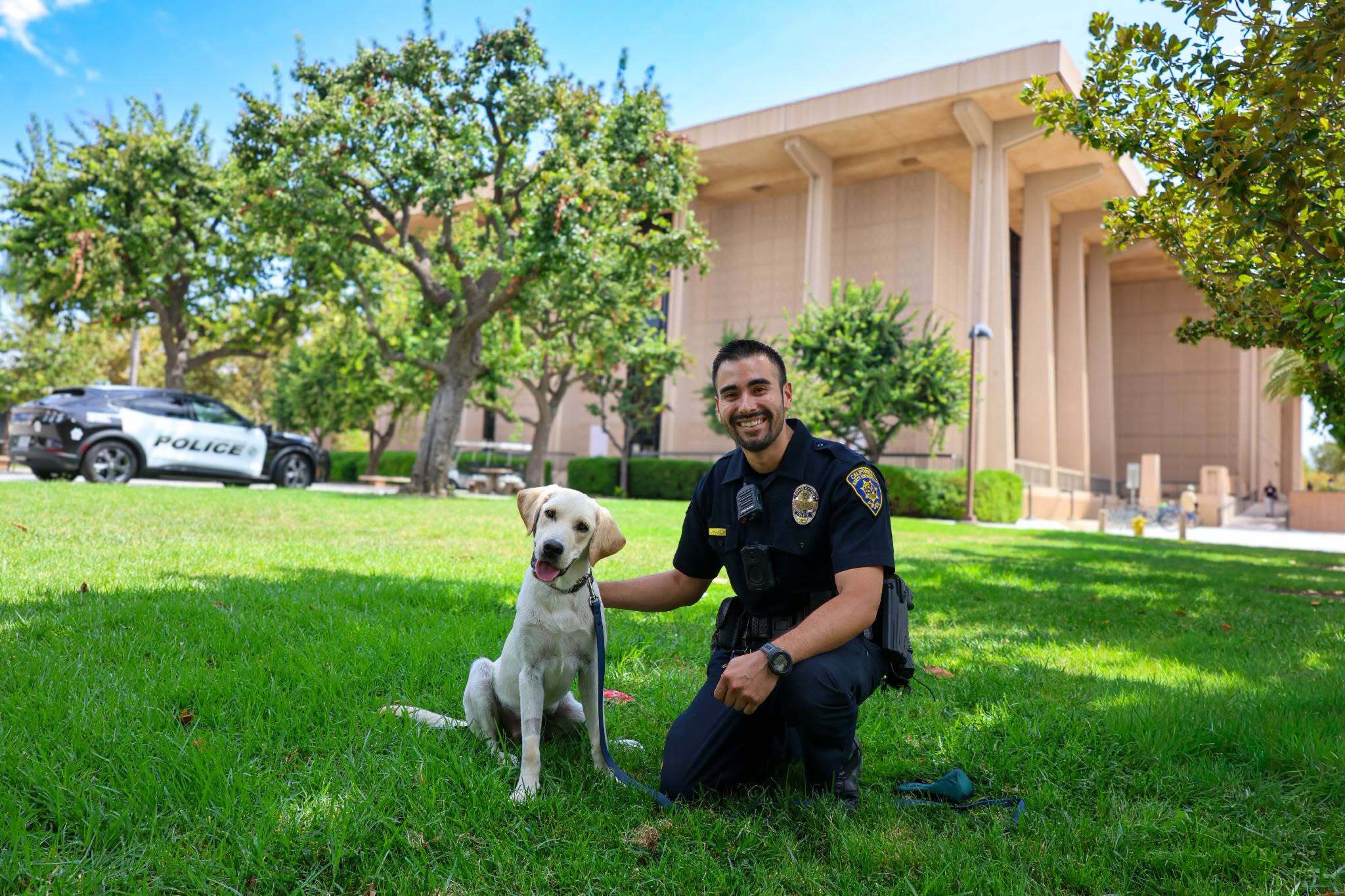 Sunny the therapy dog on paw patrol on CSUN campus – NBC Los Angeles