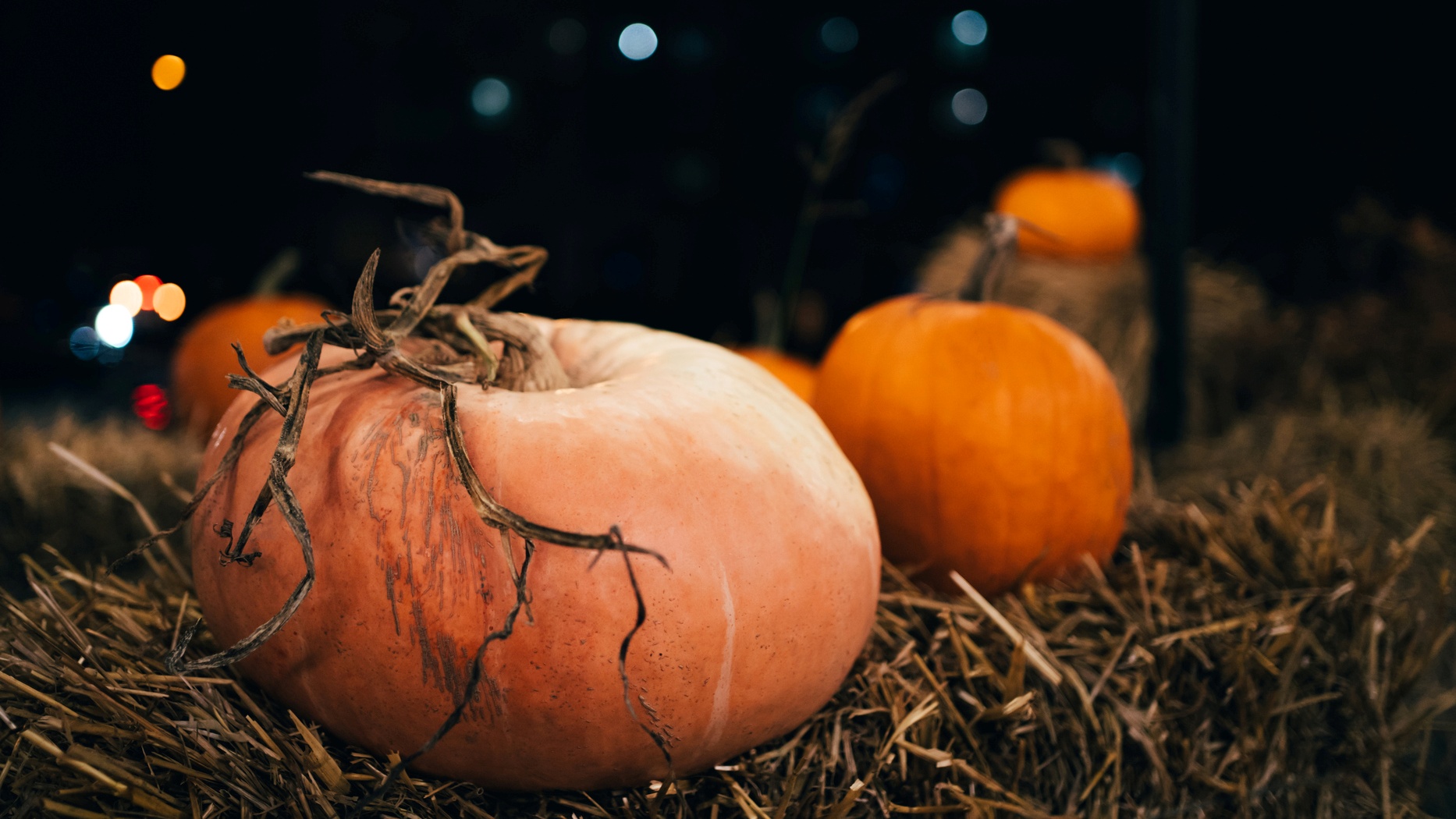 nbclosangeles.com - Alysia Gray Painter - Pumpkins by moonlight: 'Beat the heat' by enjoying Tanaka Farms in the evening