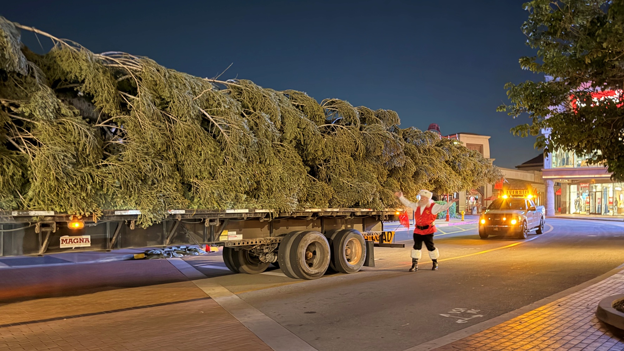 Christmas is here (sort of): A massive tree just arrived at Citadel ...