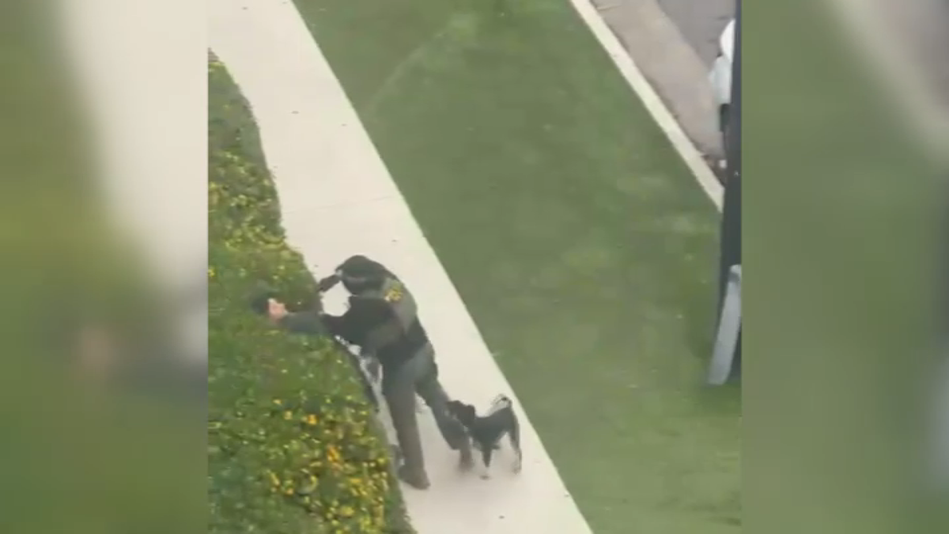 nbclosangeles.com - Lolita Lopez - Video appears to show ICE agent pointing gun at bystander in North Hollywood