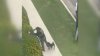 Video appears to show ICE agent pointing gun at bystander in North Hollywood