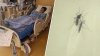 SoCal mom's warning after son hospitalized with West Nile. These were early signs