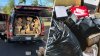 9 men linked to Sinaloa Cartel arrested for train cargo theft in San Bernardino County