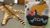 Tiger pelt, lion teeth: Anaheim couple sentenced for trafficking wildlife