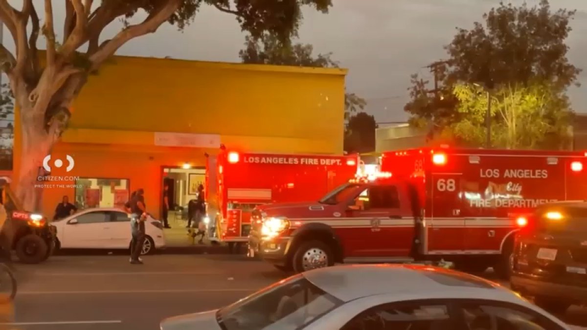 Assault News Image