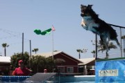 A dog leaps off the dock Saturday April 28, 2018 at the Splash Dogs competition at the OC Pet Expo in Costa Mesa.