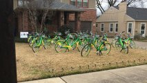 A Dallas family says they were pranked by a friend who left 14 rental bikes in their front yard, Wednesday December 27, 2017.
