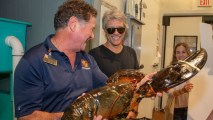 Stew Leonard, Jon Bon Jovi, and "Bon Jovi" the lobster.