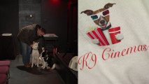 Popcorn and poodles and golden retrievers in front of the silver screen will be a common sight at K9 Cinemas when the movie theater opens Friday. (Published Dec. 7, 2018)