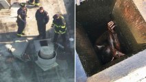 A man was trapped in a vent at a vacant restaurant in San Lorenzo before being rescued Wednesday morning. (Dec. 12, 2018)