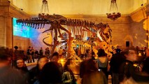 The first First Friday of 2018 at the Natural History Museum of Los Angeles raises the dino-riffic roof on Friday, Feb. 2.