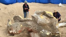Photos: Sphinx From 1920s Movie Set Unearthed in California