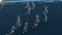 Dino Derby: T-Rexes 