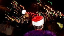 The stately deodars will be lit for several nights beginning on Saturday, Dec. 9.