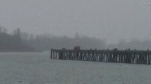 Watch: Suspect Drives Off Pier in Failed Bid to Escape Cops