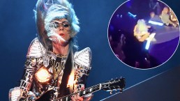 Lady Gaga Plummets Off Stage in Fan's Arms at Vegas Show