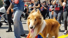Thousands March to Remember Armenian Genocide