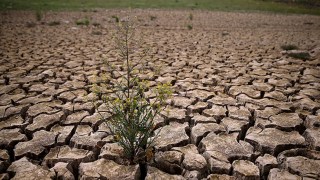 California is Years Away From Drought Recovery