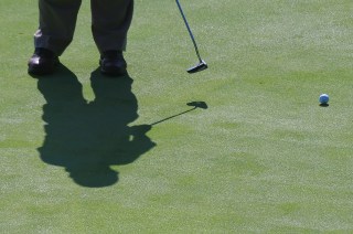 Teen Boy Arrested, Then Released to Parents in Killing of Duck at Southern California Golf Course